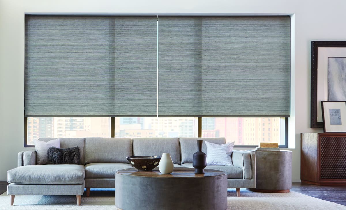 Designer Roller Shades near Seneca, South Carolina (SC) Hunter Douglas with LiteRise® and PowerView® Automation.