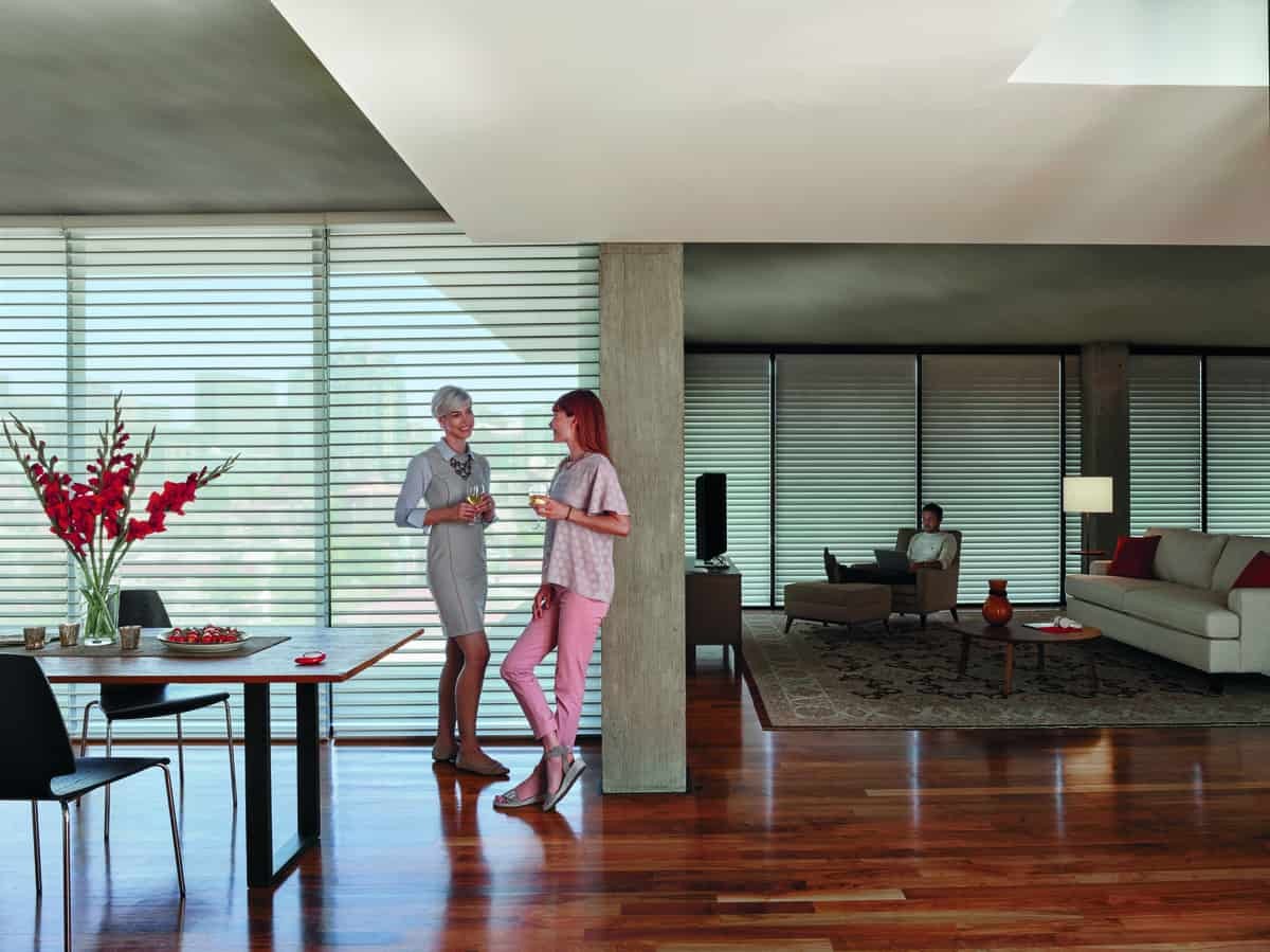 Hunter Douglas PowerView® Automation, motorized blinds, power shades, electric blinds near Seneca, South Carolina (SC)