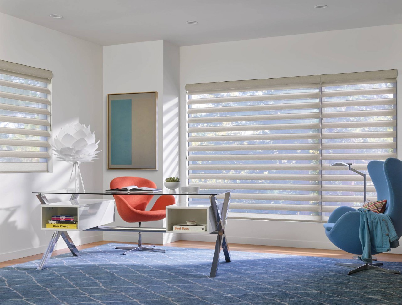 Hunter Douglas Pirouette® Sheer Shades in an office near Seneca, SC