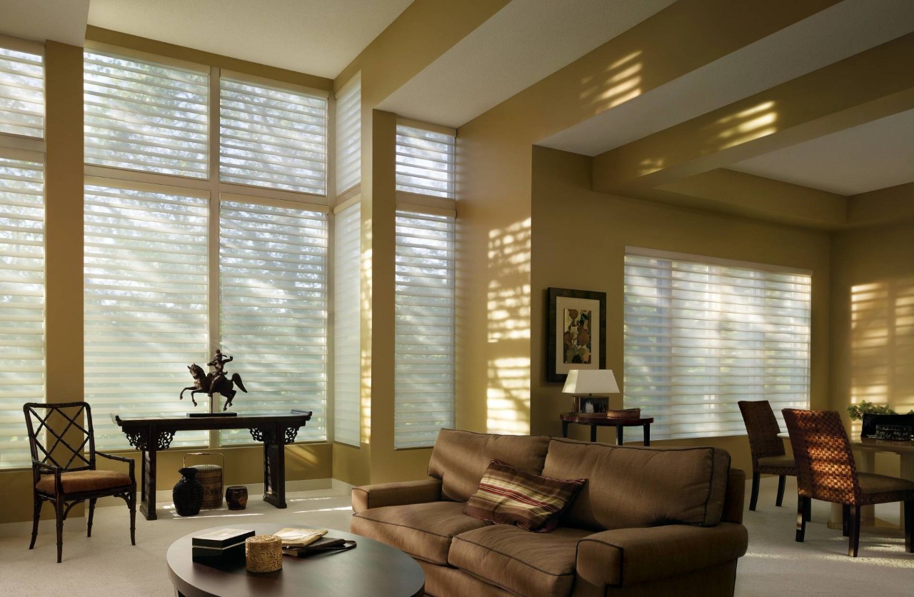 Hunter Douglas sheer nears in a living room near Seneca & Greenville, SC